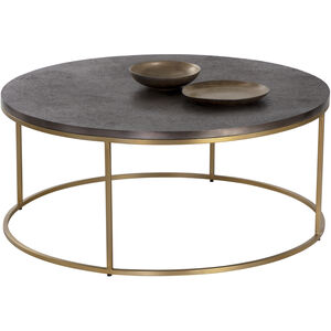 Enya 40 X 17 inch Gunmetal / Brass Coffee Table